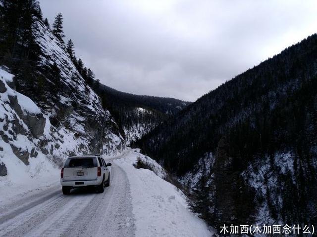 木加西(木加西念什么)