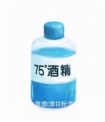 漂白粉漂白原理(漂白粉漂白原理化学式)