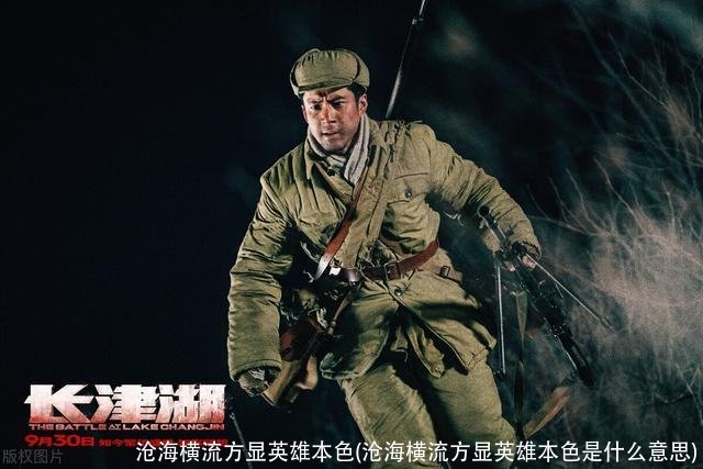 沧海横流方显英雄本色(沧海横流方显英雄本色是什么意思)