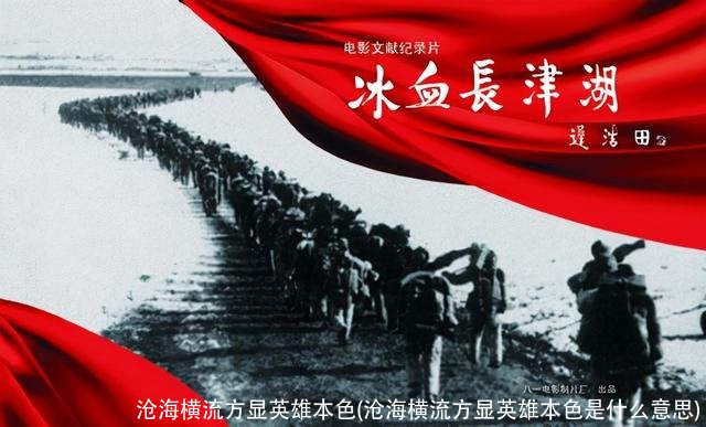 沧海横流方显英雄本色(沧海横流方显英雄本色是什么意思)