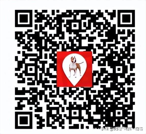 怎么进行网上购物(怎样网购)