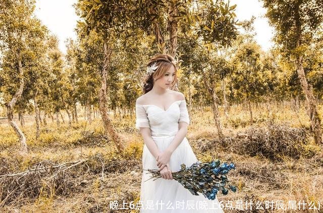 晚上6点是什么时辰(晚上6点是什么时辰,属什么)