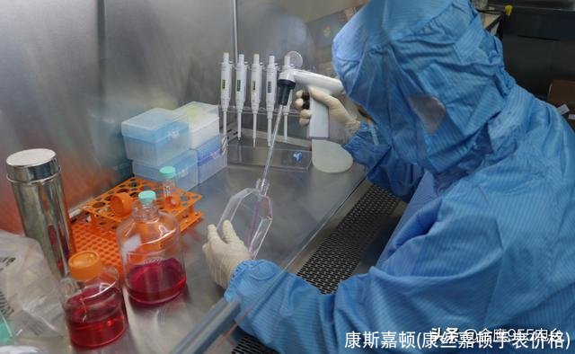 康斯嘉顿(康丝嘉顿手表价格)