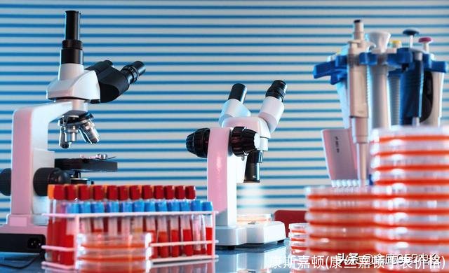 康斯嘉顿(康丝嘉顿手表价格)