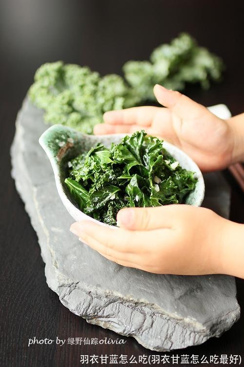 羽衣甘蓝怎么吃(羽衣甘蓝怎么吃最好)