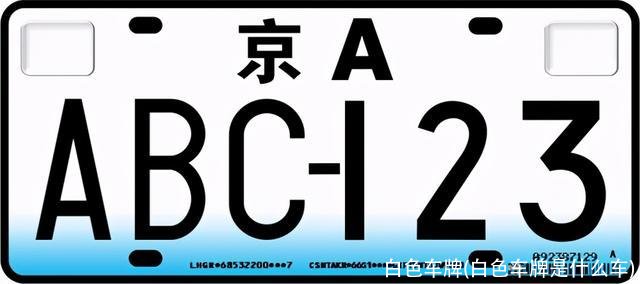 白色车牌(白色车牌是什么车)