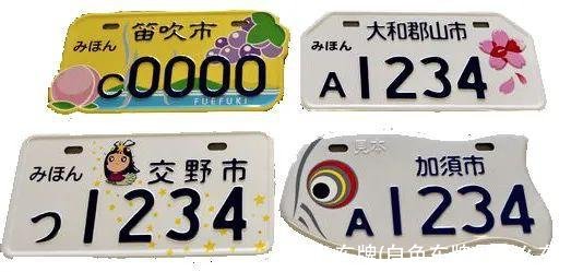 白色车牌(白色车牌是什么车)