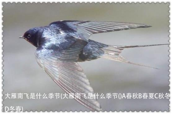 大雁南飞是什么季节(大雁南飞是什么季节()A春秋B春夏C秋冬D冬春)