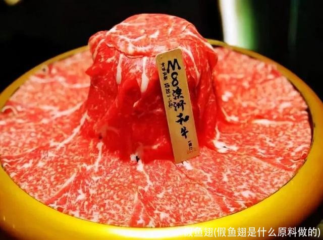 假鱼翅(假鱼翅是什么原料做的)