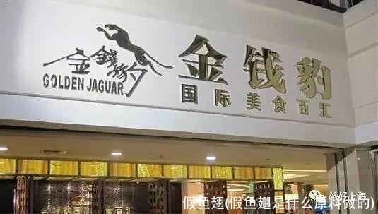 假鱼翅(假鱼翅是什么原料做的)