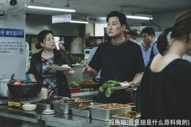 假鱼翅(假鱼翅是什么原料做的)