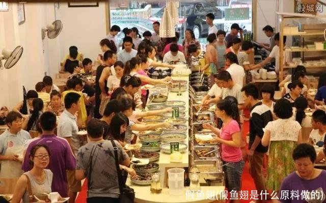 假鱼翅(假鱼翅是什么原料做的)