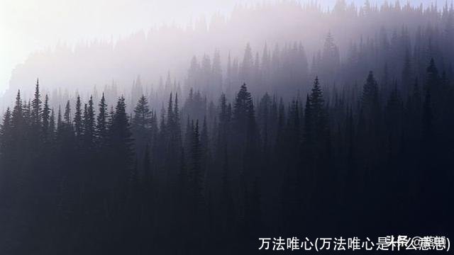 万法唯心(万法唯心是什么意思)