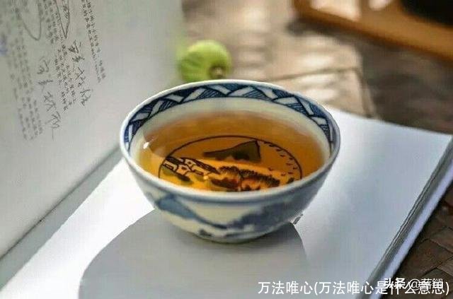 万法唯心(万法唯心是什么意思)