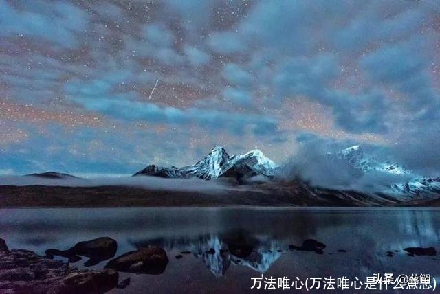 万法唯心(万法唯心是什么意思)