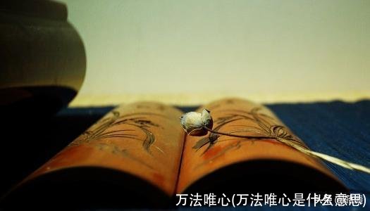 万法唯心(万法唯心是什么意思)