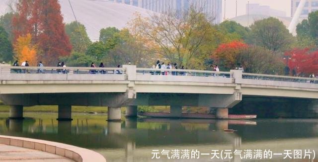 元气满满的一天(元气满满的一天图片)