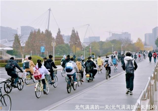 元气满满的一天(元气满满的一天图片)