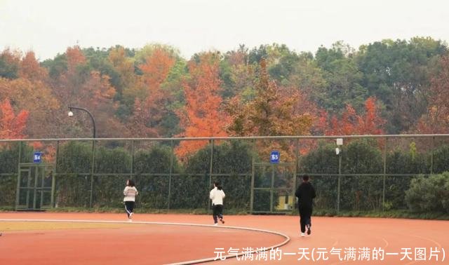 元气满满的一天(元气满满的一天图片)