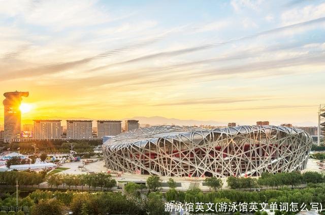 游泳馆英文(游泳馆英文单词怎么写)