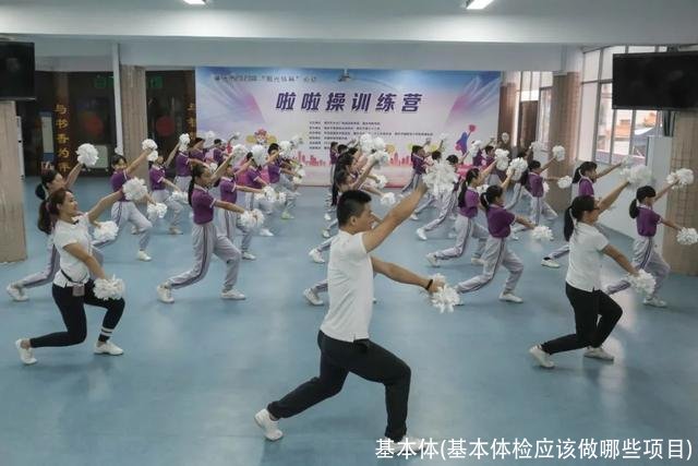 基本体(基本体检应该做哪些项目)