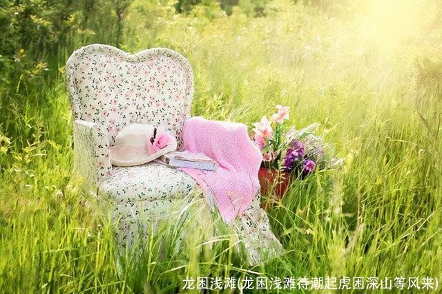 龙困浅滩(龙困浅滩待潮起虎困深山等风来)