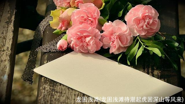 龙困浅滩(龙困浅滩待潮起虎困深山等风来)