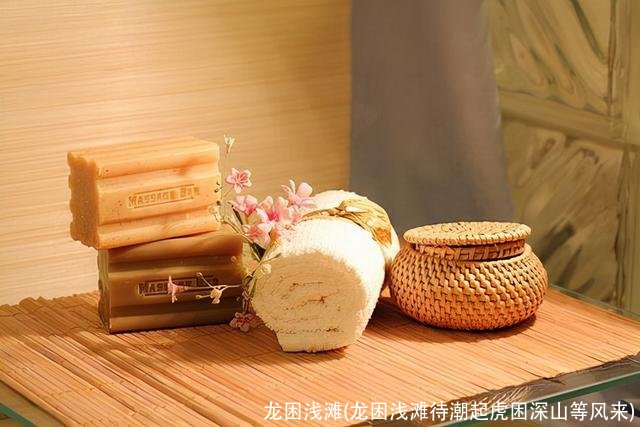 龙困浅滩(龙困浅滩待潮起虎困深山等风来)