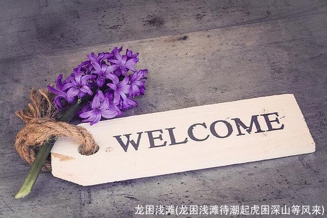 龙困浅滩(龙困浅滩待潮起虎困深山等风来)