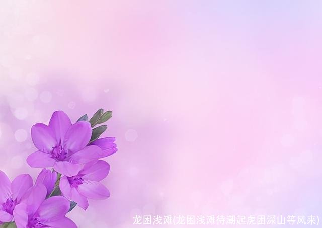 龙困浅滩(龙困浅滩待潮起虎困深山等风来)