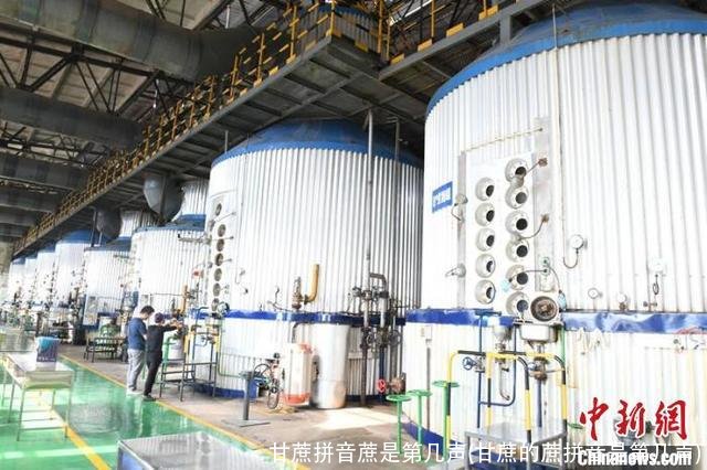 甘蔗拼音蔗是第几声(甘蔗的蔗拼音是第几声)