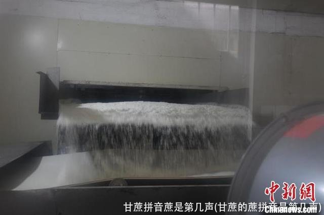 甘蔗拼音蔗是第几声(甘蔗的蔗拼音是第几声)