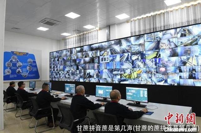 甘蔗拼音蔗是第几声(甘蔗的蔗拼音是第几声)
