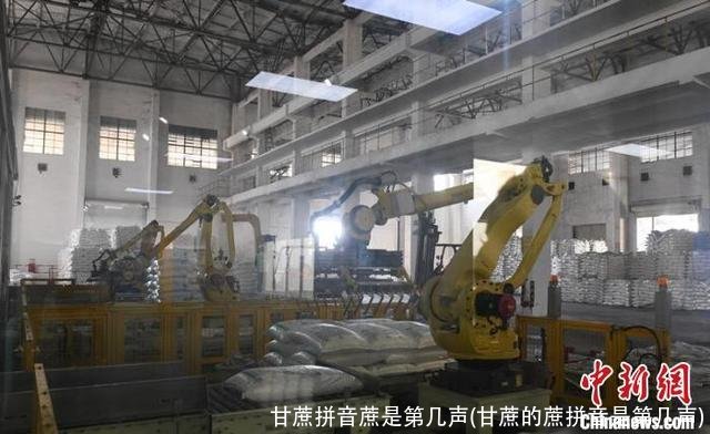 甘蔗拼音蔗是第几声(甘蔗的蔗拼音是第几声)
