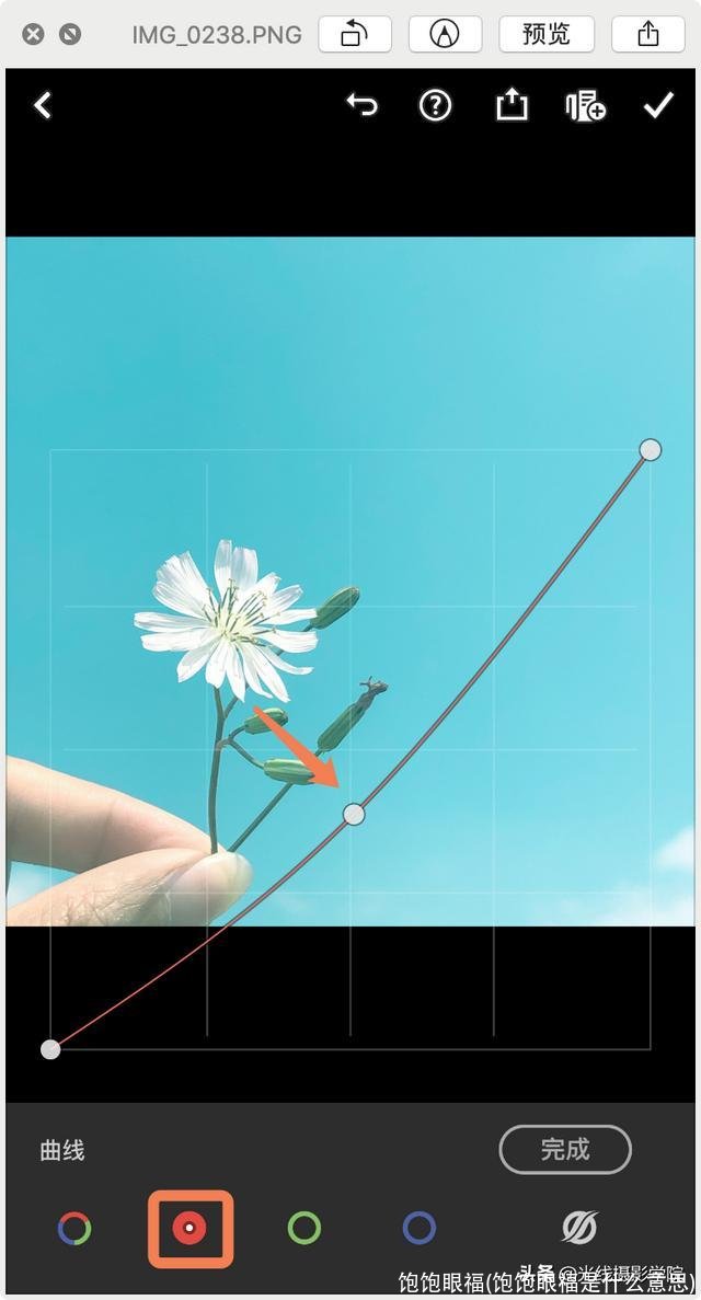 饱饱眼福(饱饱眼福是什么意思)