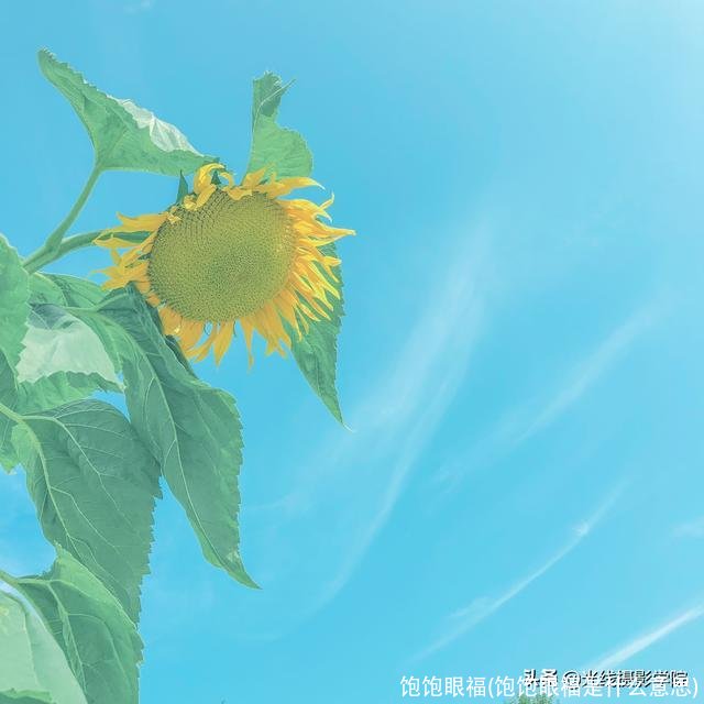 饱饱眼福(饱饱眼福是什么意思)