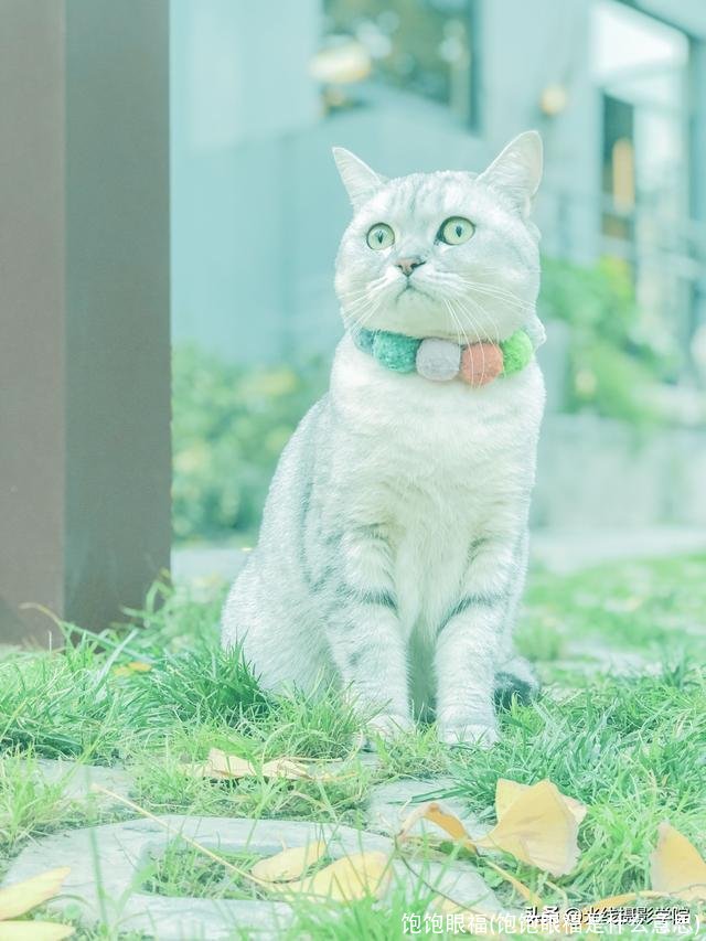 饱饱眼福(饱饱眼福是什么意思)