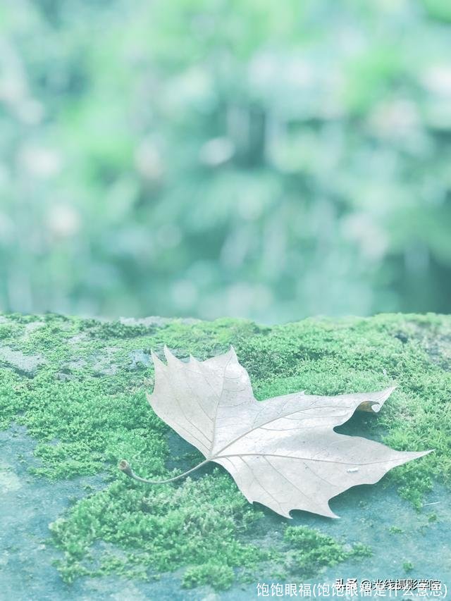 饱饱眼福(饱饱眼福是什么意思)