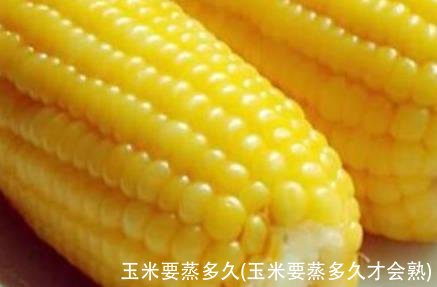 玉米要蒸多久(玉米要蒸多久才会熟)