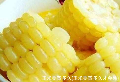 玉米要蒸多久(玉米要蒸多久才会熟)