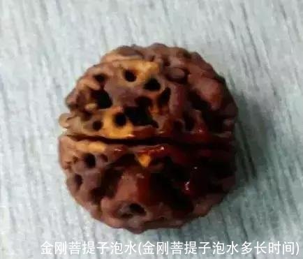 金刚菩提子泡水(金刚菩提子泡水多长时间)