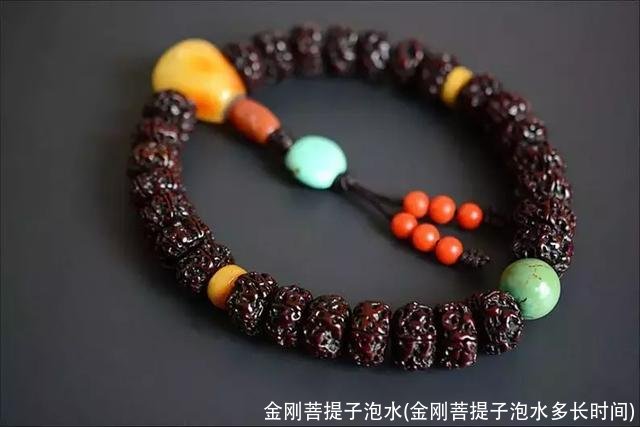 金刚菩提子泡水(金刚菩提子泡水多长时间)