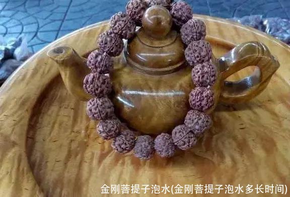 金刚菩提子泡水(金刚菩提子泡水多长时间)