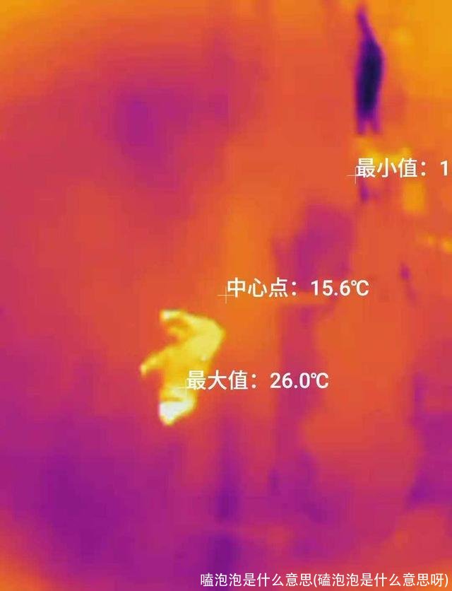 嗑泡泡是什么意思(磕泡泡是什么意思呀)