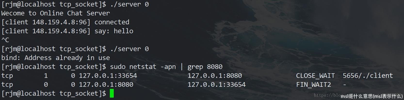 msl是什么意思(msl表示什么)