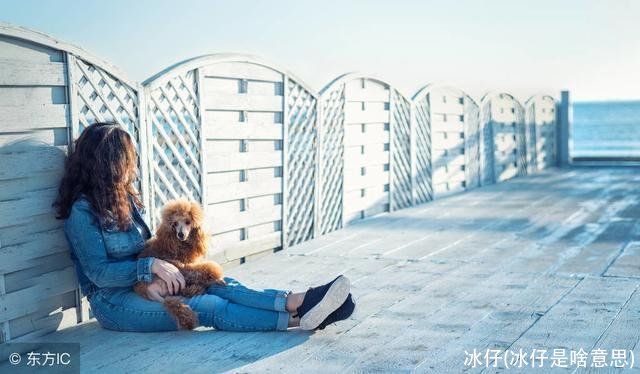 冰仔(冰仔是啥意思)