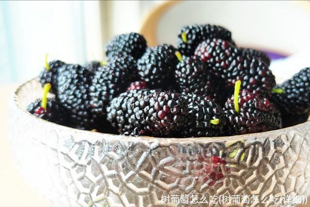 树葡萄怎么吃(树葡萄怎么吃(详细))