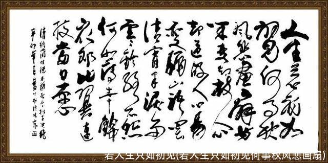 若人生只如初见(若人生只如初见何事秋风悲画扇)