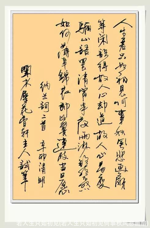 若人生只如初见(若人生只如初见何事秋风悲画扇)