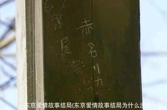 东京爱情故事结局(东京爱情故事结局为什么没在一起)